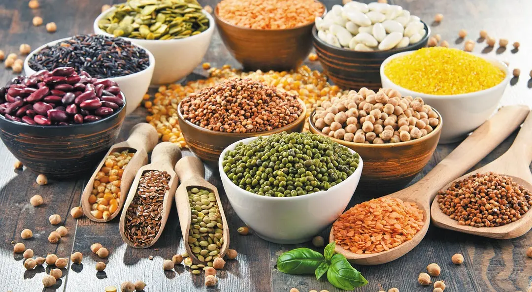 Pulses Supplier in Dubai